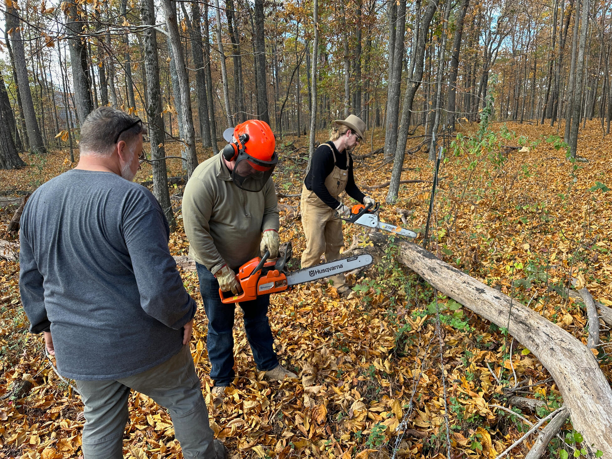 Projects for ourselves